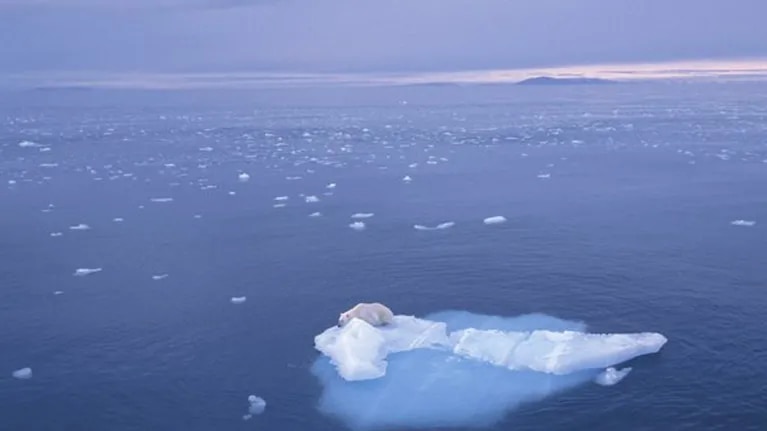 cambio-climatico:-el-hielo-antartico-alcanzo-su-minimo-historico-en-el-polo-sur