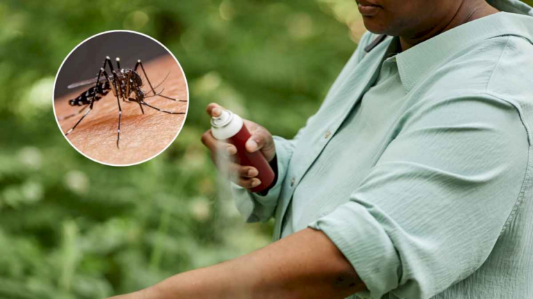 como-hacer-el-repelente-casero-mas-eficaz-contra-los-mosquitos,-segun-la-inteligencia-artificial