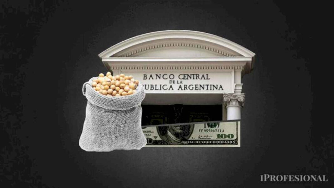 para-analistas,-el-campo-puede-no-ser-el-culpable-de-las-pocas-reservas-del-banco-central