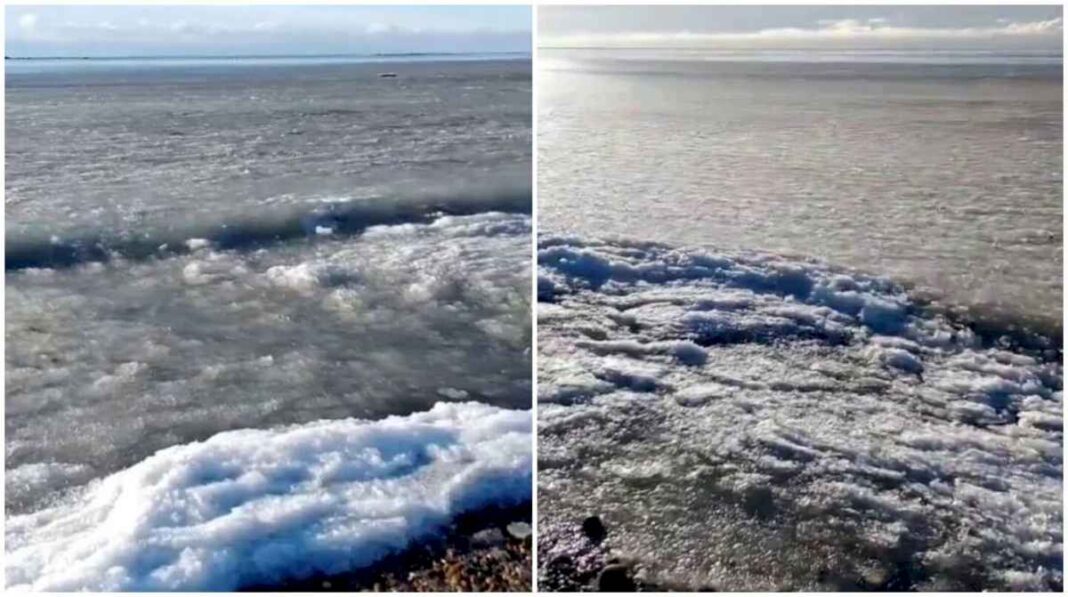 desde-el-mar-hecho-hielo-hasta-un-pato-congelado:-las-impactantes-imagenes-del-pais-bajo-cero