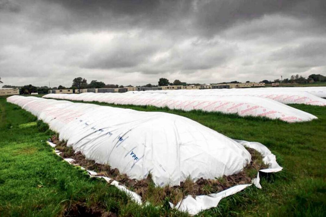 hablo-milei-y-los-dolares-del-agro-se-asustaron