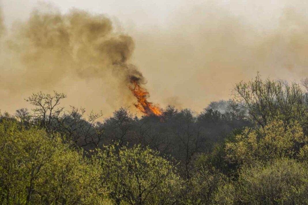 en-otra-jornada-de-calor-y-viento,-intentan-combatir-tres-focos-de-incendio-activos-en-cordoba:-un-segundo-detenido