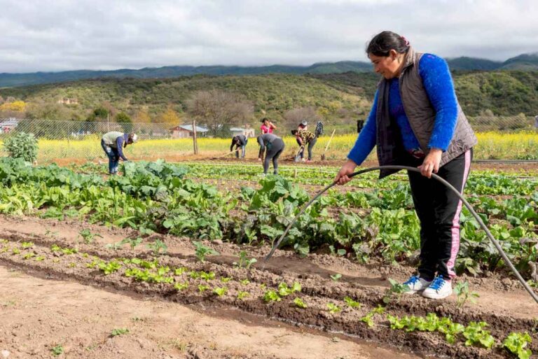 inconsistencias-y-fondos-en-la-mira:-el-gobierno-uso-una-dura-auditoria-para-desactivar-programas-ligados-al-agro