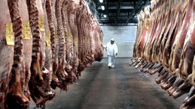 «Un desperdicio de carne vacuna»