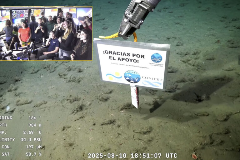 El «pulpo Dumbo» y la «estrella de mar culona» se despidieron del streaming del Conicet