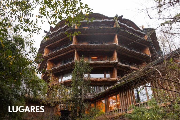 El hotel escondido en el bosque patagónico que invita a sentirse en una novela de Tolkien