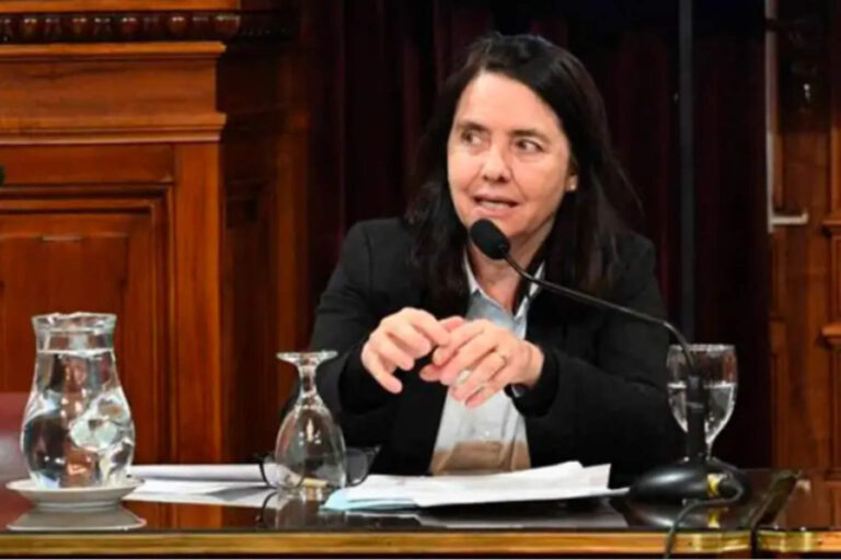 Álvarez Rivero generó polémica en el Senado con sus dichos sobre el Hospital Garrahan
