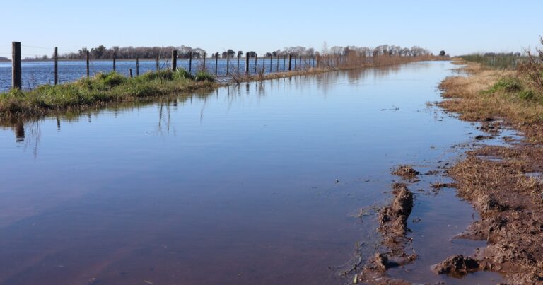 «La situación es muy complicada»: un frente de tormenta dejó acumulados muy importantes e impactan en una de las principales zonas de la provincia de Buenos Aires
