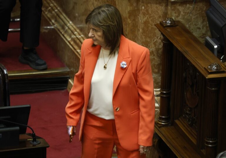 El vínculo de Patricia con Techint agrava la desconfianza de Milei