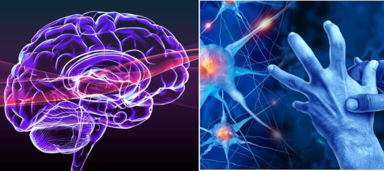 Ejercicio físico: la clave para proteger el cerebro y la memoria