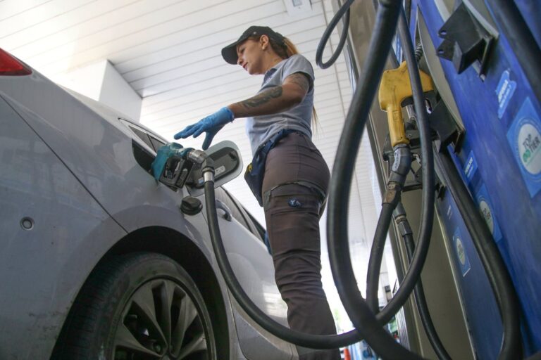 Gráfico comparativo de precios e impuestos de combustibles en estación de servicio