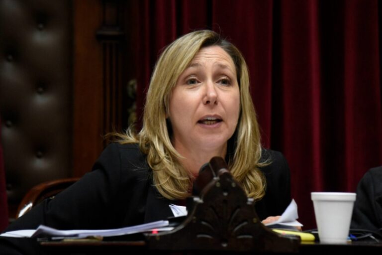 Diputada Myriam Bregman hablando en el Congreso de la Nación.