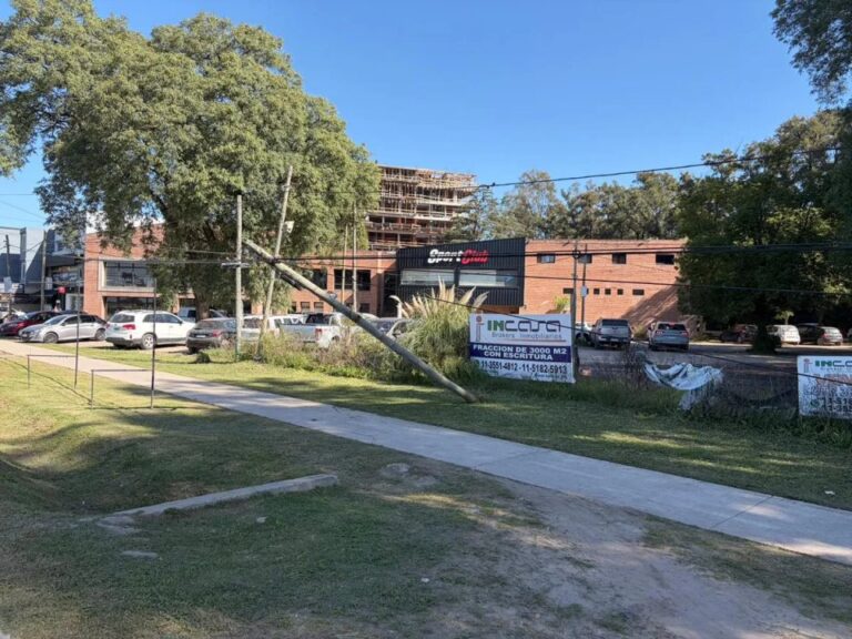 Postes de luz caídos sobre la bicisenda de Mariano Castex en Canning, bloqueando el paso de ciclistas y peatones