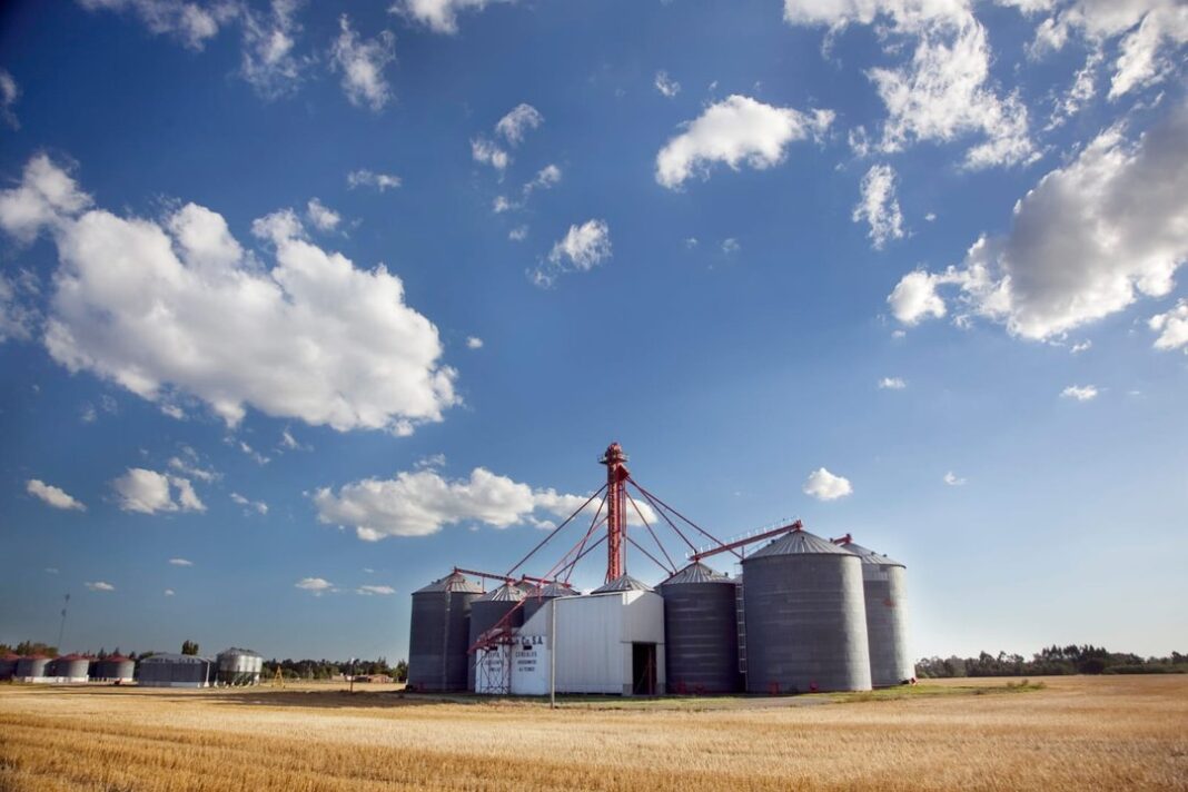 Gráfico ilustrativo de crecimiento de exportaciones agroindustriales argentinas.