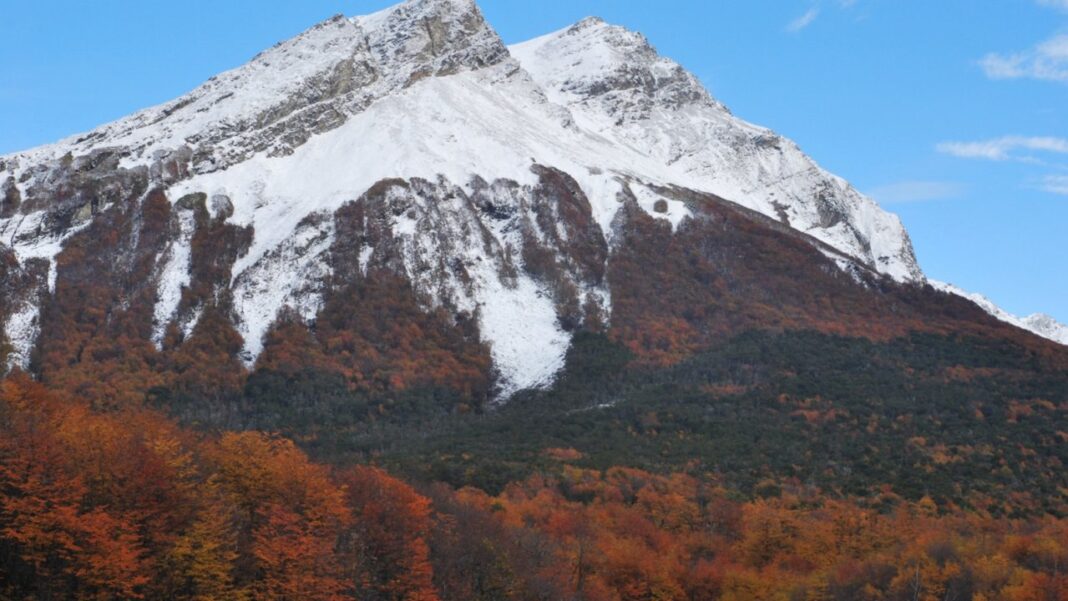 Paisaje otoñal en un sendero de un Parque Nacional argentino, con árboles de tonos rojizos y amarillos.
