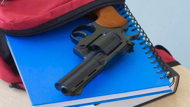 Ilustración de una réplica de arma de fuego sobre un fondo de libros y un pupitre, representando el caso en la escuela de Mendoza.
