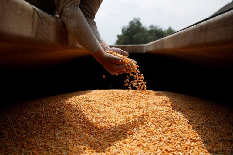 Reunión del Gobierno con entidades agropecuarias sobre control de semillas