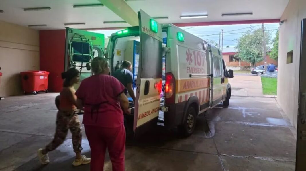 Nino de 7 anos atacado por perros en Posadas