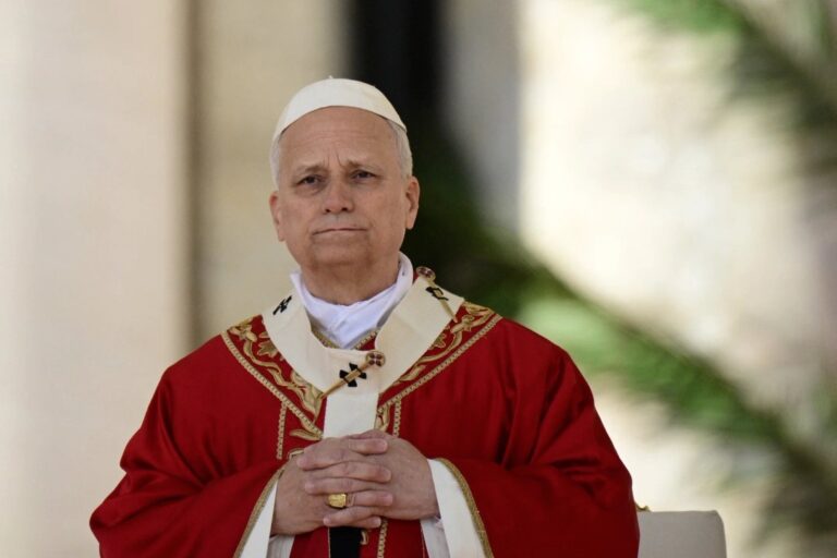 Papa León XIV hablando en el avión papal de regreso de África