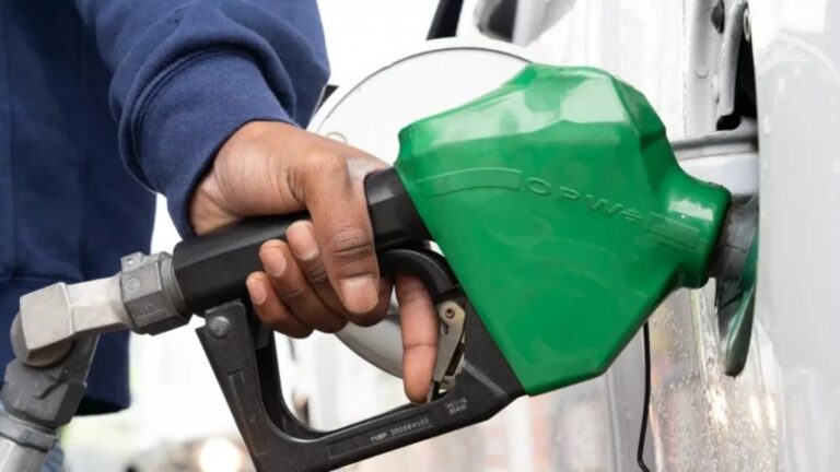 Gráfico de precios de combustibles y logo de empresas petroleras en Argentina