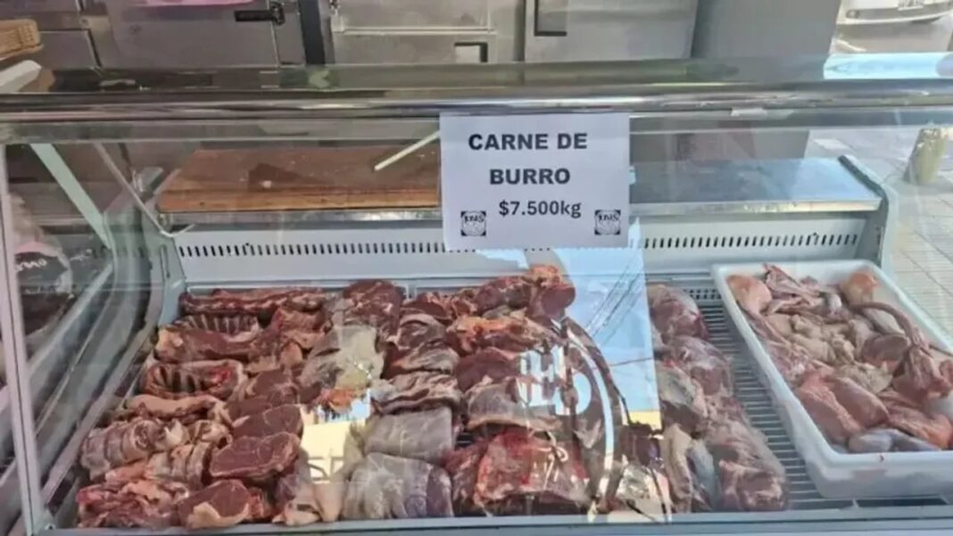 Productor y carne de burro en carnicería de Trelew, Chubut
