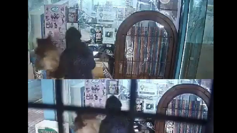 Cámaras de seguridad registran asalto a caballo en kiosco de Miramar