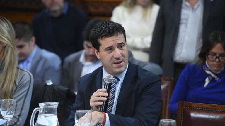 Presidente de la Cámara Federal de Mar del Plata, Alejandro Tazza, durante su exposición en el Senado