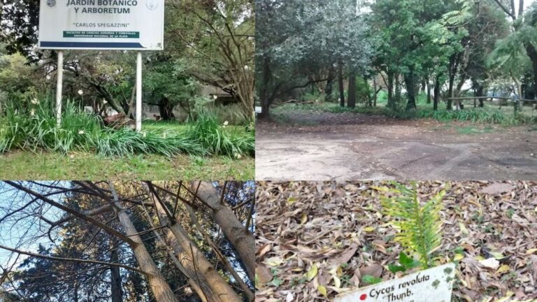 Jardín Botánico y Arboretum Carlos Spegazzini de la UNLP en La Plata