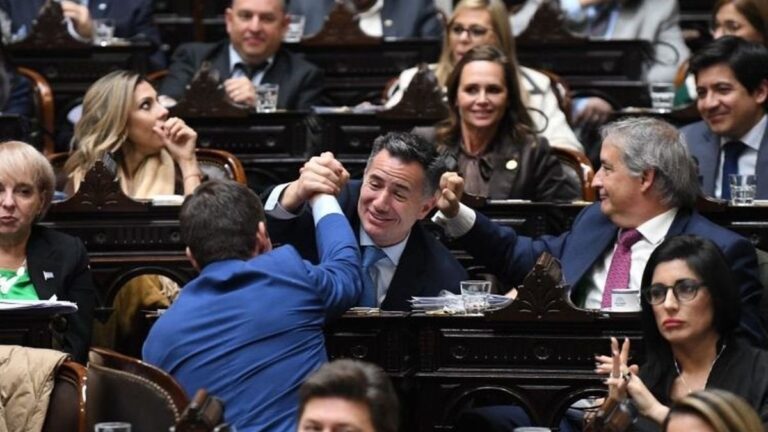 Sesión de la Cámara de Diputados durante el debate de la Ley Hojarasca