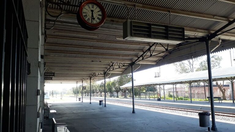 Tren de la Línea Sarmiento detenido en estación Moreno