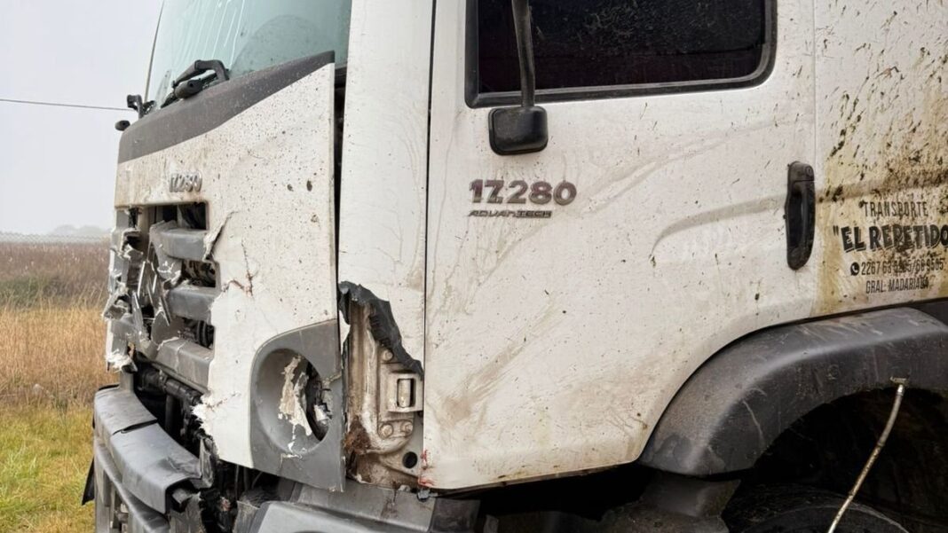 Ruta 74 en General Madariaga tras accidente con caballos