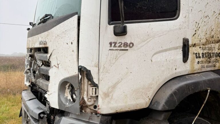 Ruta 74 en General Madariaga tras accidente con caballos