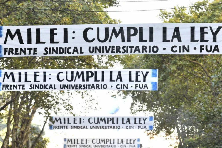 Marcha universitaria en Buenos Aires con carteles pidiendo financiamiento