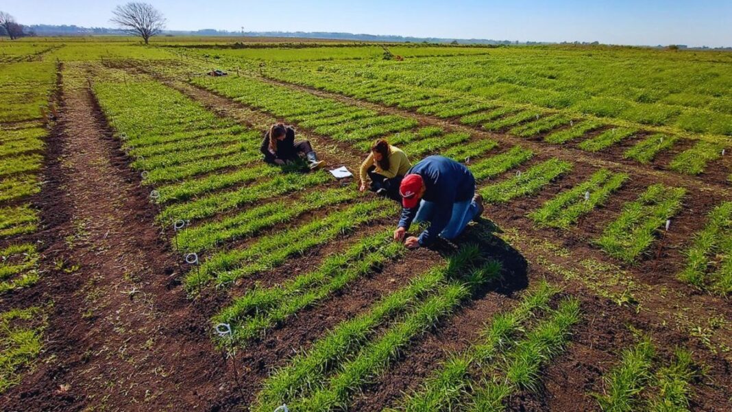 Estación Experimental Agropecuaria INTA Balcarce