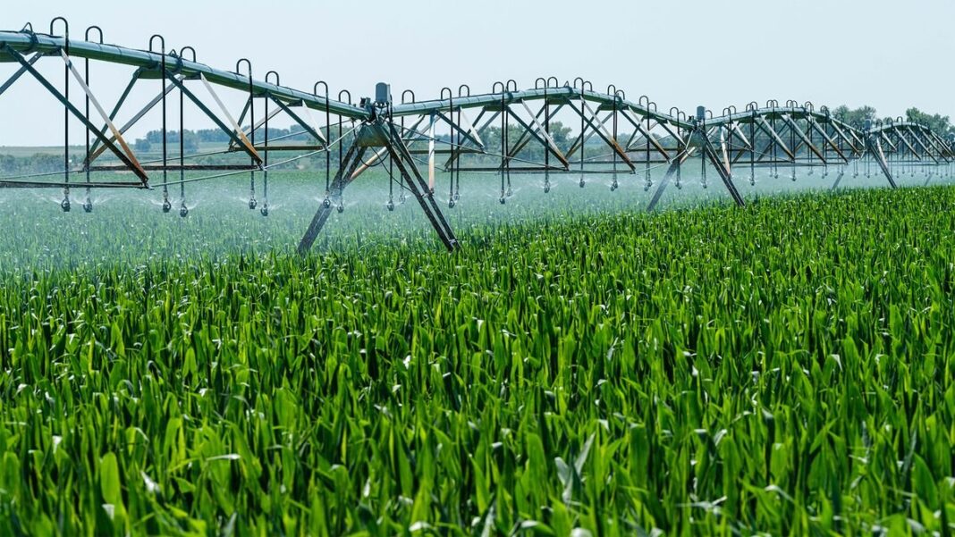 Boletín Oficial de la provincia de Buenos Aires con resolución sobre agroquímicos