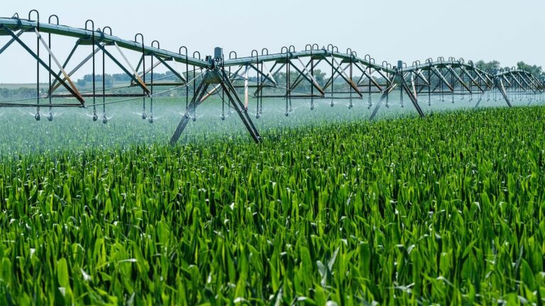 Boletín Oficial de la provincia de Buenos Aires con resolución sobre agroquímicos