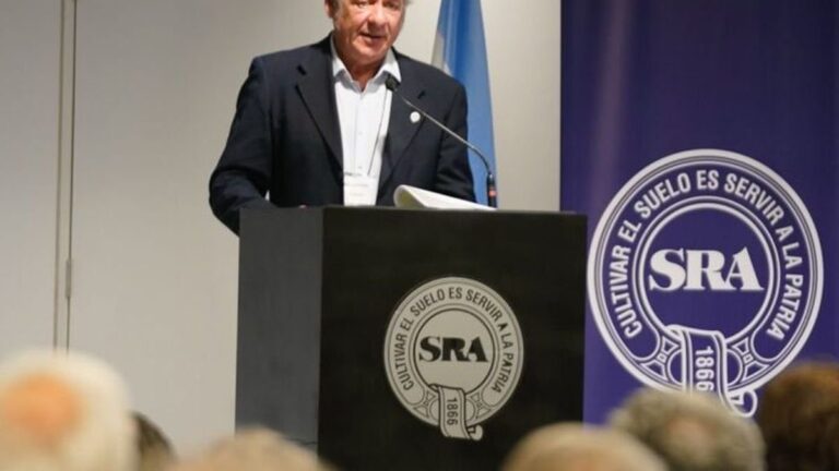 Nicolás Pino, presidente de la Sociedad Rural Argentina, en una conferencia de prensa