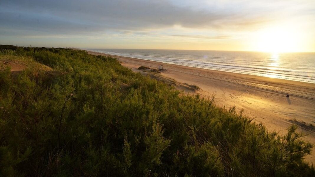 Vista de la costa y el bosque de Mar de las Pampas, en Villa Gesell