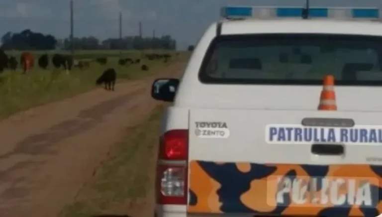 Policía en operativo en Pergamino