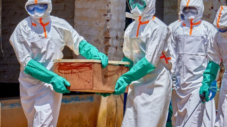 Barco en puerto argentino con protocolo sanitario activado por brote de ébola