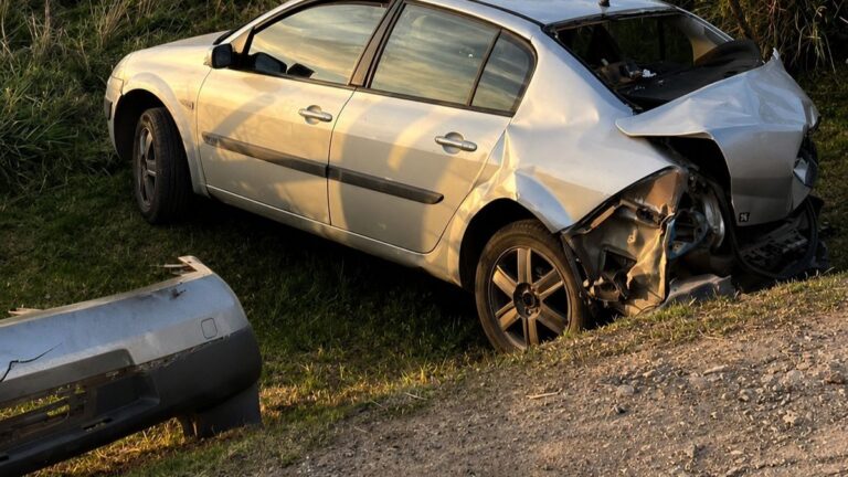 Tren detenido en las vías tras accidente con un auto en Castelli