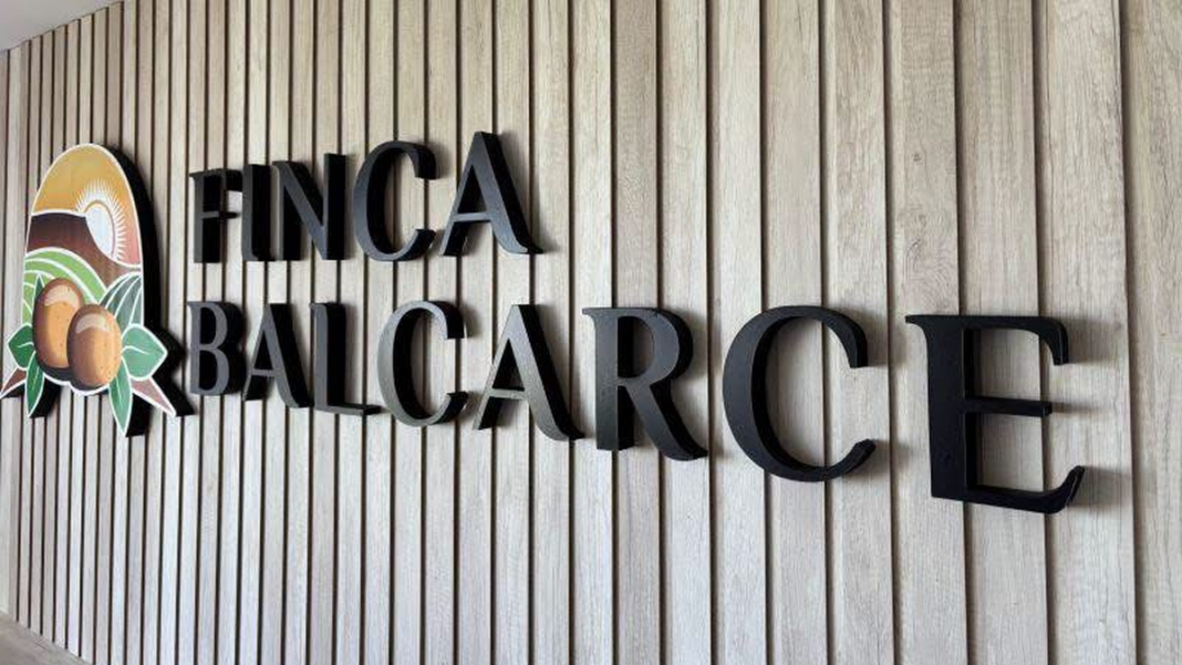 Finca Balcarce producción de papas congeladas