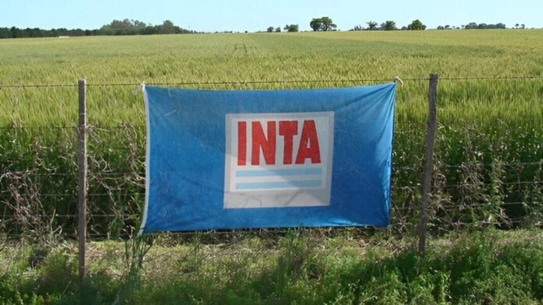 Vista aérea del predio del INTA en Hurlingham e Ituzaingó