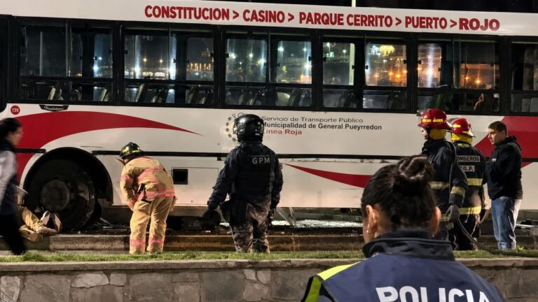 Ómnibus de la línea 532 accidentado frente al skatepark de Mar del Plata