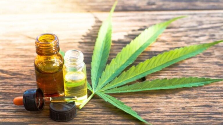 Reunión del Consejo Consultivo Asesor de cannabis medicinal en Buenos Aires