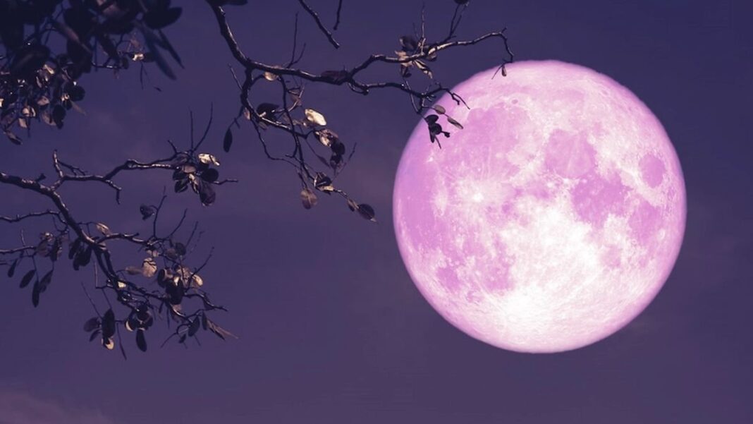 Luna llena en el cielo nocturno