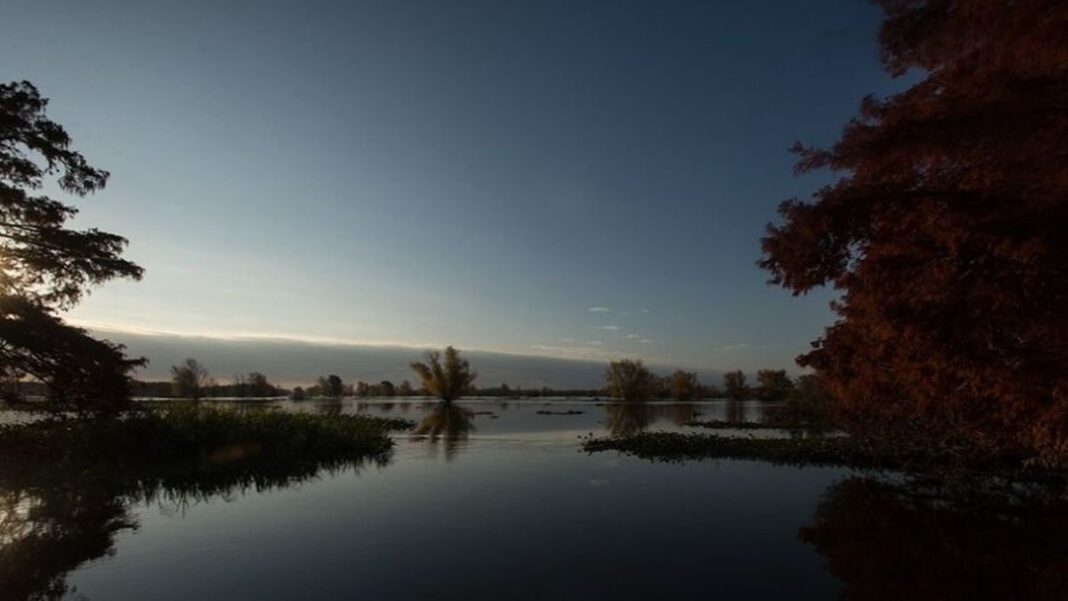 Río Paraná contaminado