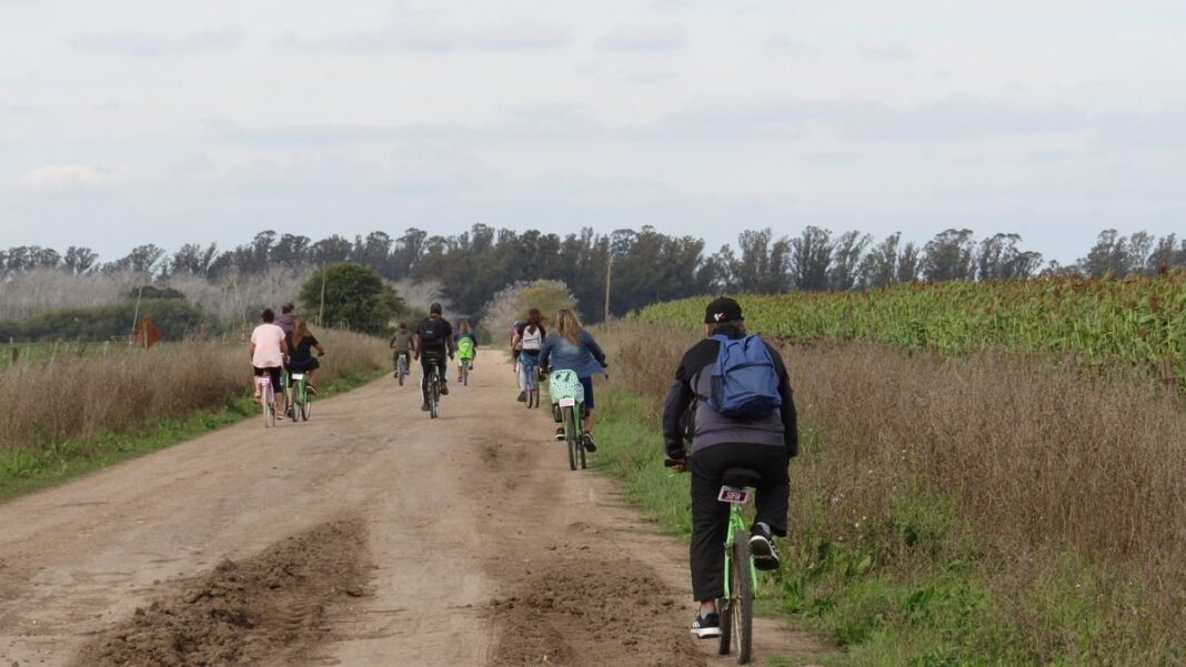 Delegación Municipal de San Agustín, obra de Francisco Salamone