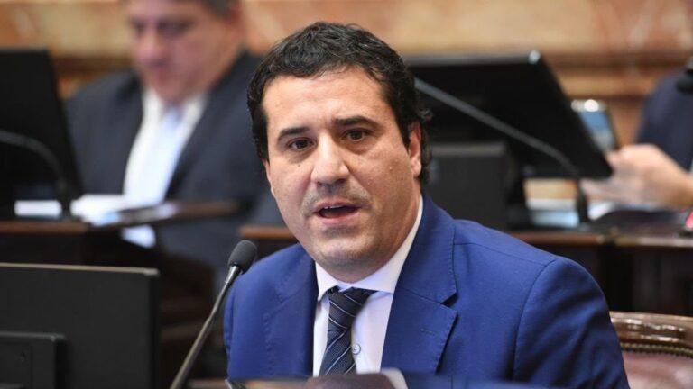 Senador Maximiliano Abad durante una sesión