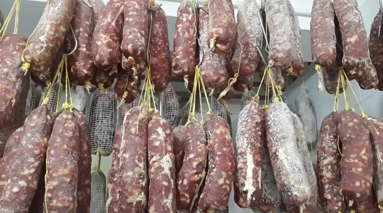 Muestras de carne de cerdo en laboratorio de Bromatología de Lincoln